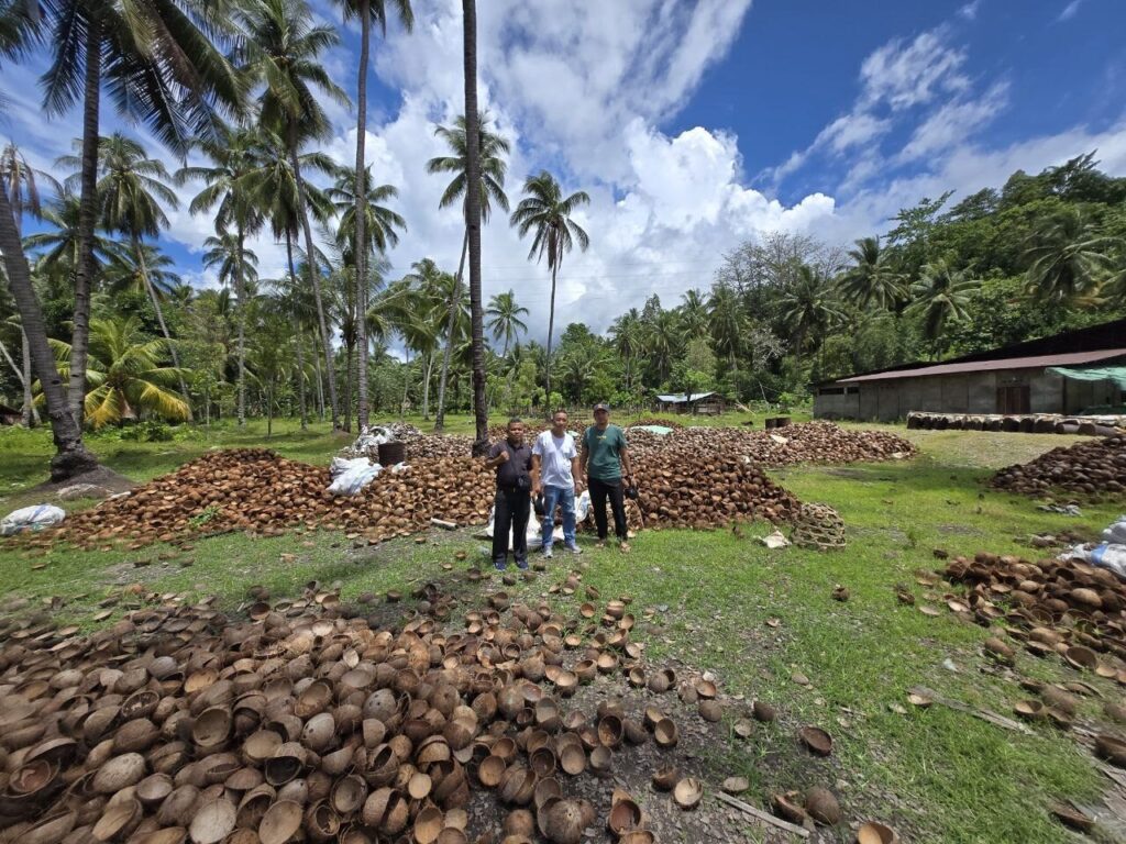 Perkebunan dan panen dari supplier kelapa Indonesia