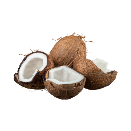 Coconut-5