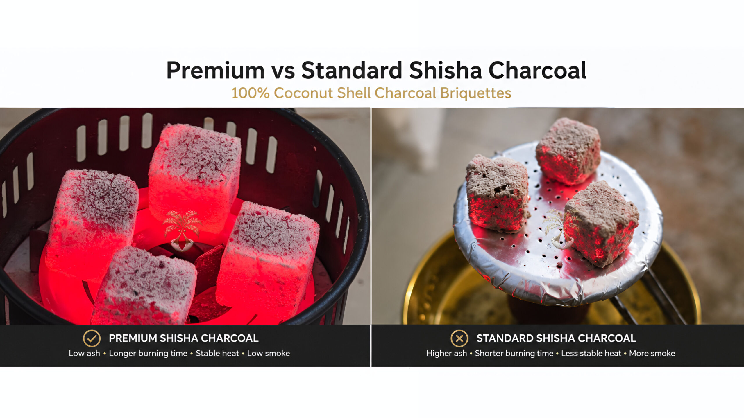 Premium vs standard shisha charcoal made from coconut shell charcoal briquettes showing differences in ash content, heat performance, and burning quality.